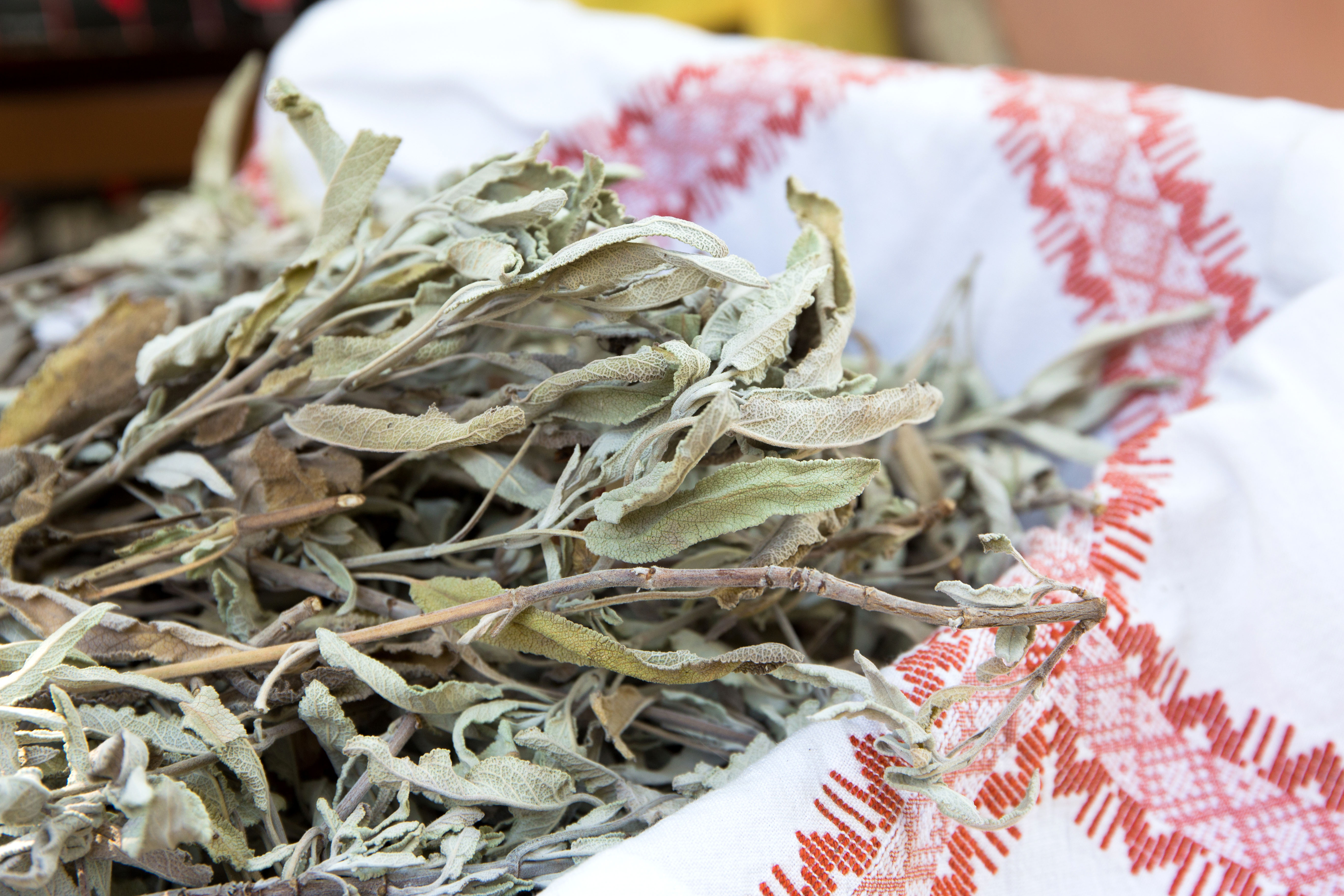 Koutsounari Traditional Cottages