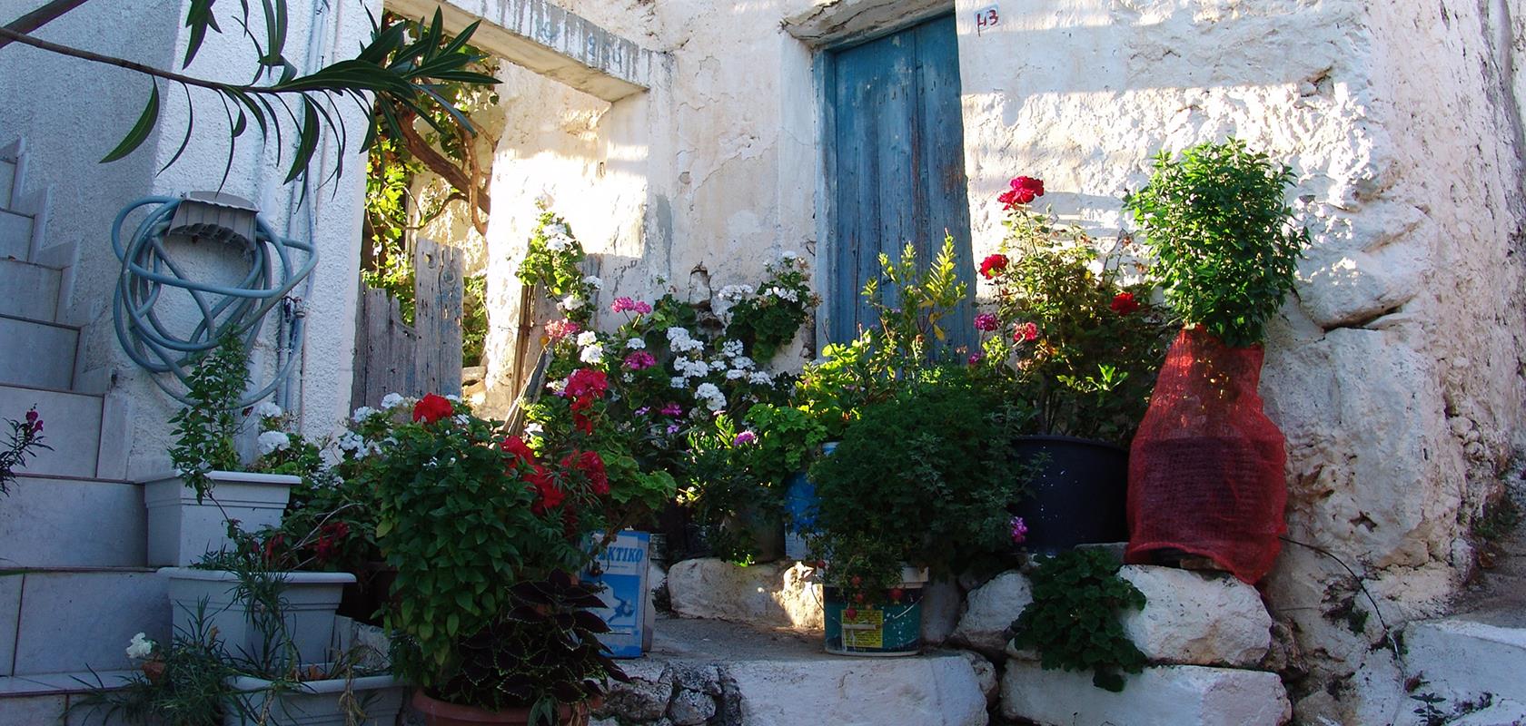 Traditional Cottages